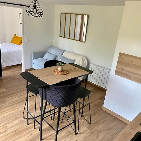 Magnifique 2/4 Pers - Le Leo Apartment *
