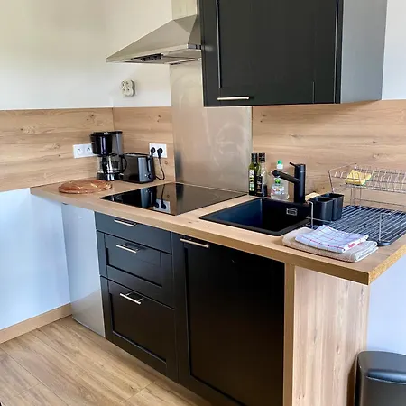 アパート Magnifique 2/4 Pers - Le Leo *