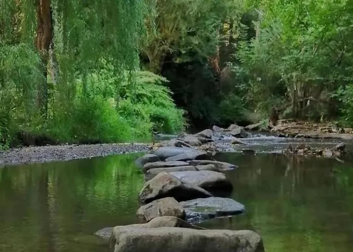 Magnifique 2/4 Pers - Le Leo